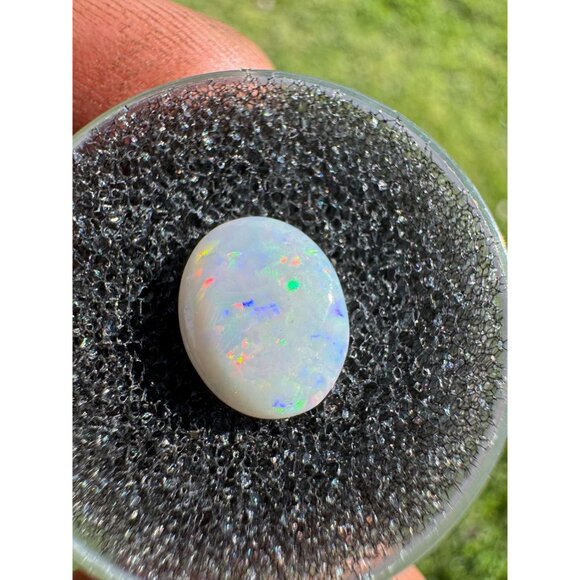Australian Opal Cabochon - 0.90 carat in Display Box #197 - Picture 3 of 7